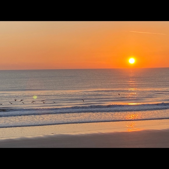 Meet your Posher, Bridget - Picture 1 of 1